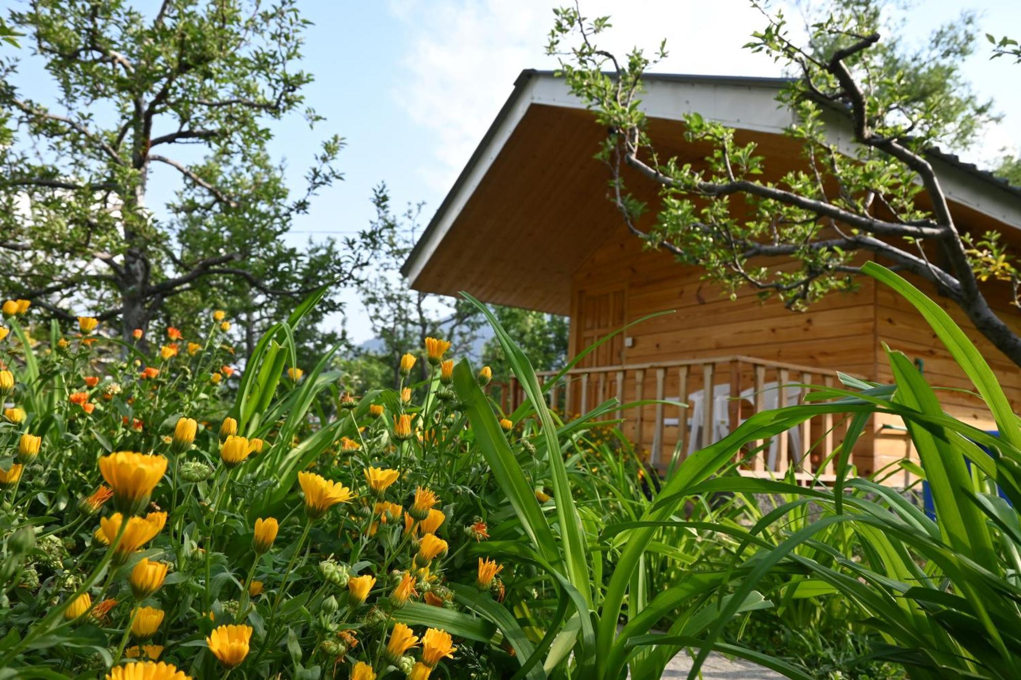 Bed and Breakfast Cascade Mountain Retreat Manali Esterno foto