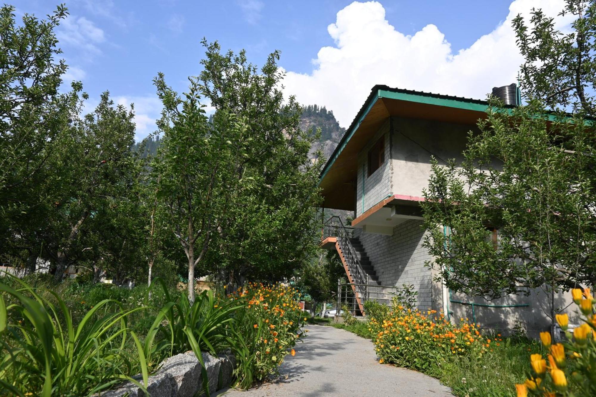 Bed and Breakfast Cascade Mountain Retreat Manali Esterno foto