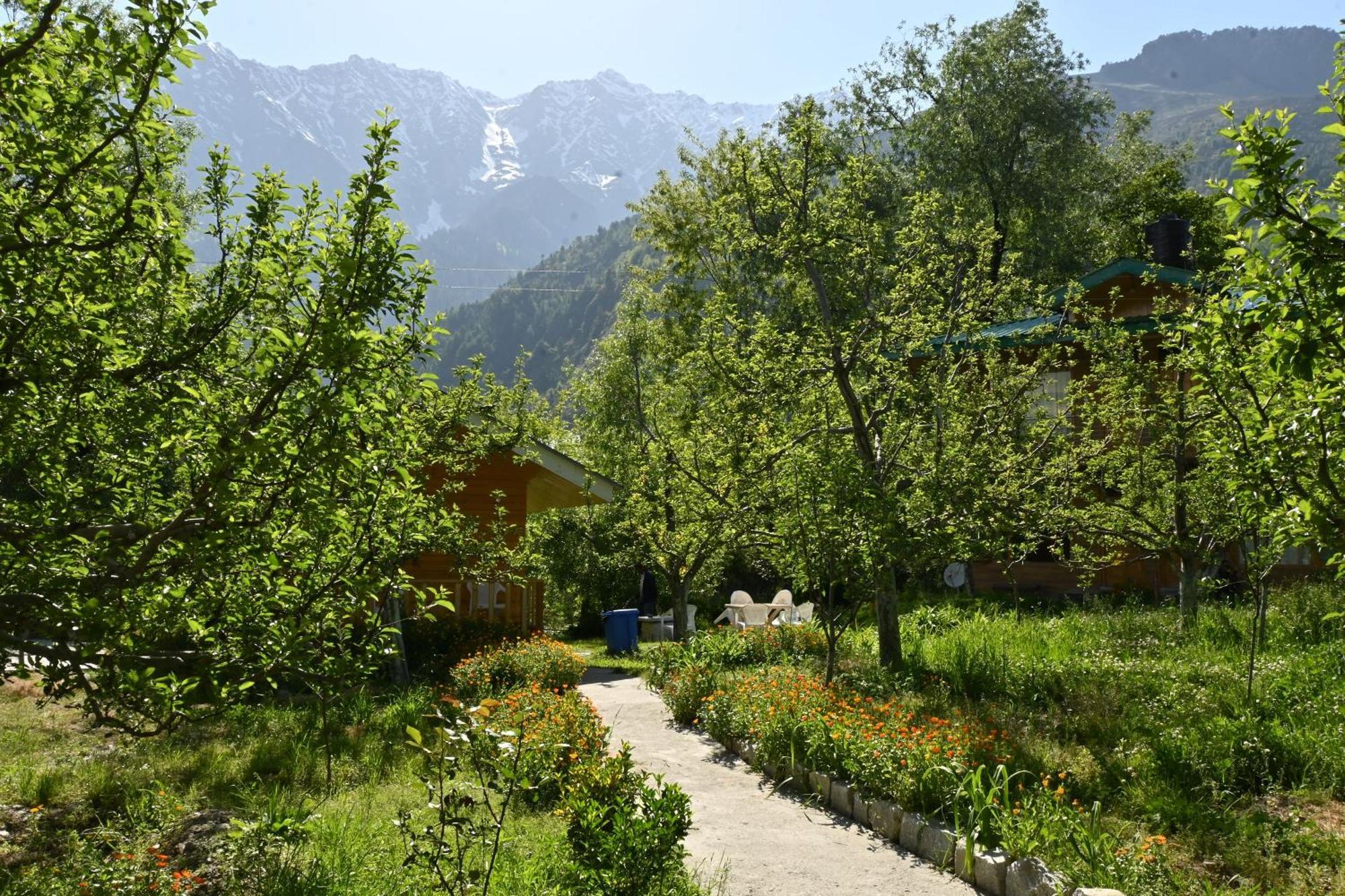 Bed and Breakfast Cascade Mountain Retreat Manali Esterno foto